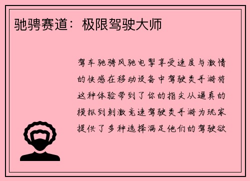 驰骋赛道：极限驾驶大师